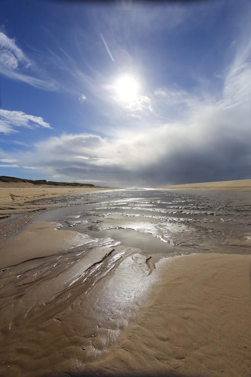 Le Lodge Du Cap Ferret Lège-Cap-Ferret Exteriör bild