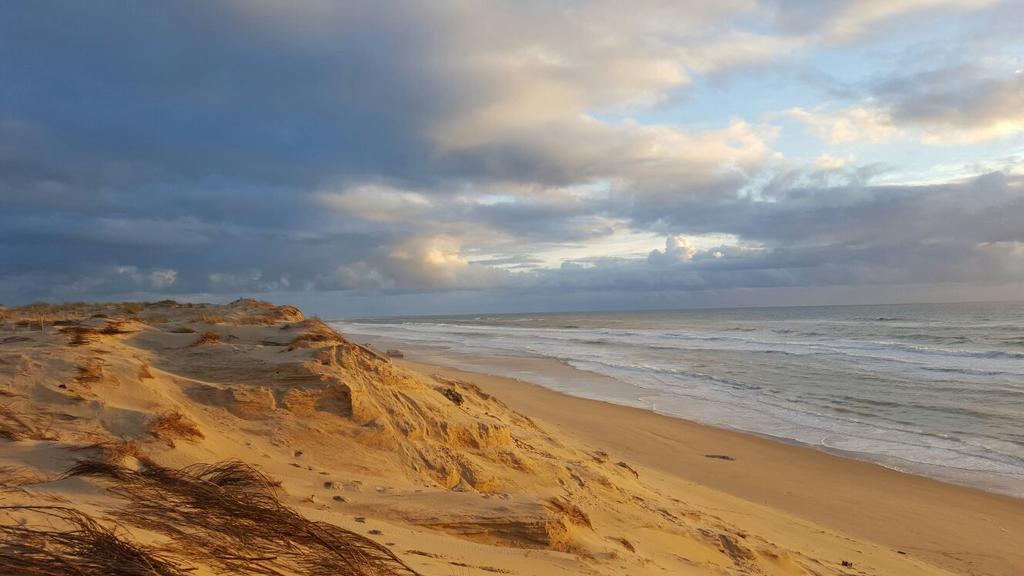 Le Lodge Du Cap Ferret Lège-Cap-Ferret Exteriör bild