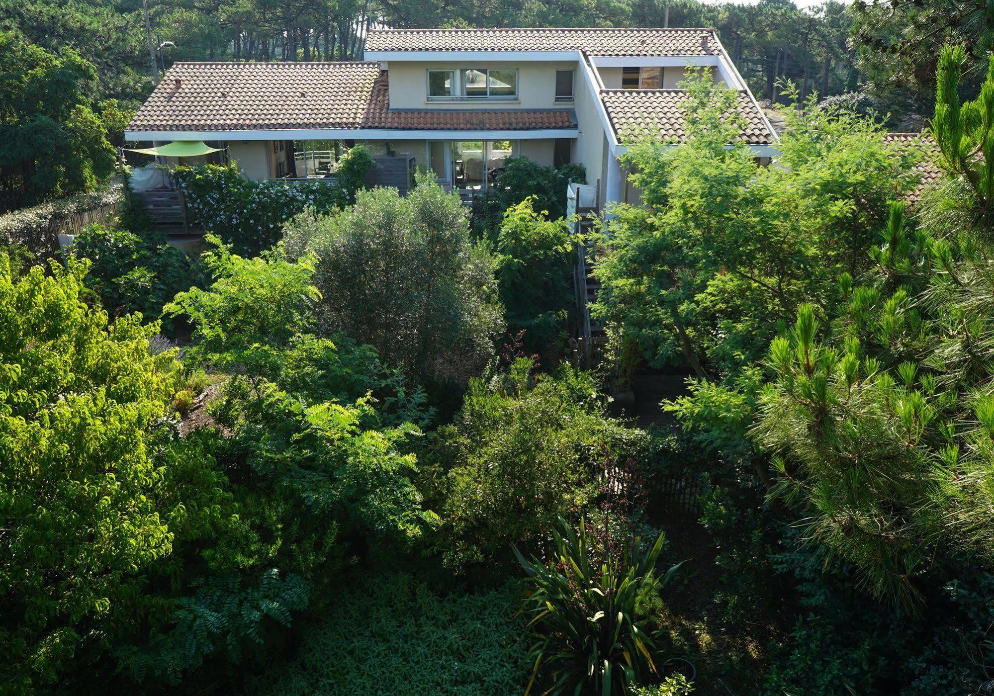 Le Lodge Du Cap Ferret Lège-Cap-Ferret Exteriör bild